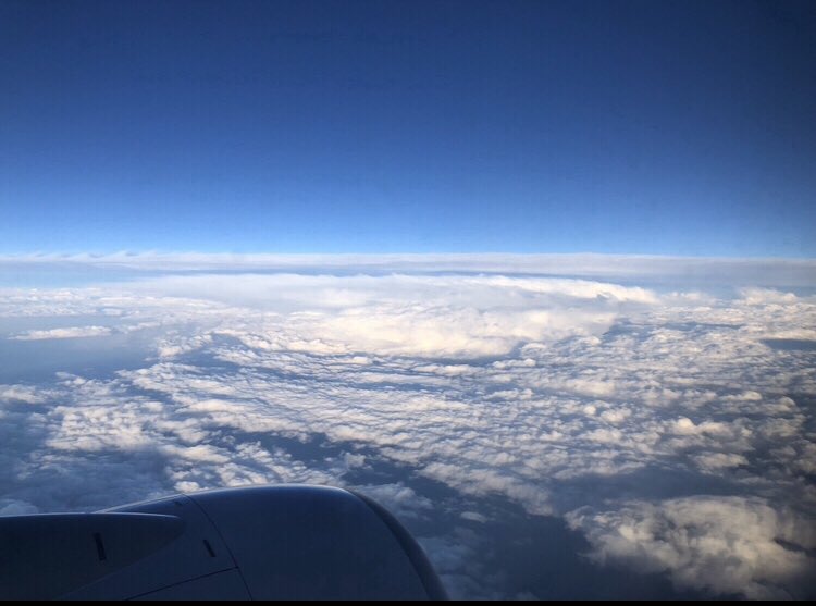 12thWoMan4Life's tweet photo. Weekends need to last longer 😩🖤✈️ #206bound https://t.co/B3dUJcpFGa