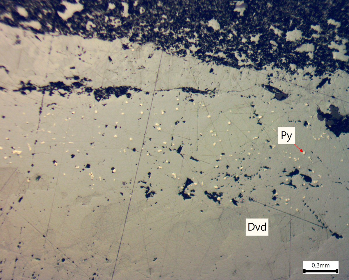 A reflected-light photomicrograph showing coarse-grained davidite (Dvd; Ce(Y,U)Fe2(Ti,Fe,Cr,V)18(O,OH,F)38) and fine-grained disseminated pyrite (Py; FeS₂). Location of this sample is unknown. 

#geology #geoscience #REE #mineral #petrology #petrography #pyrite #davidite