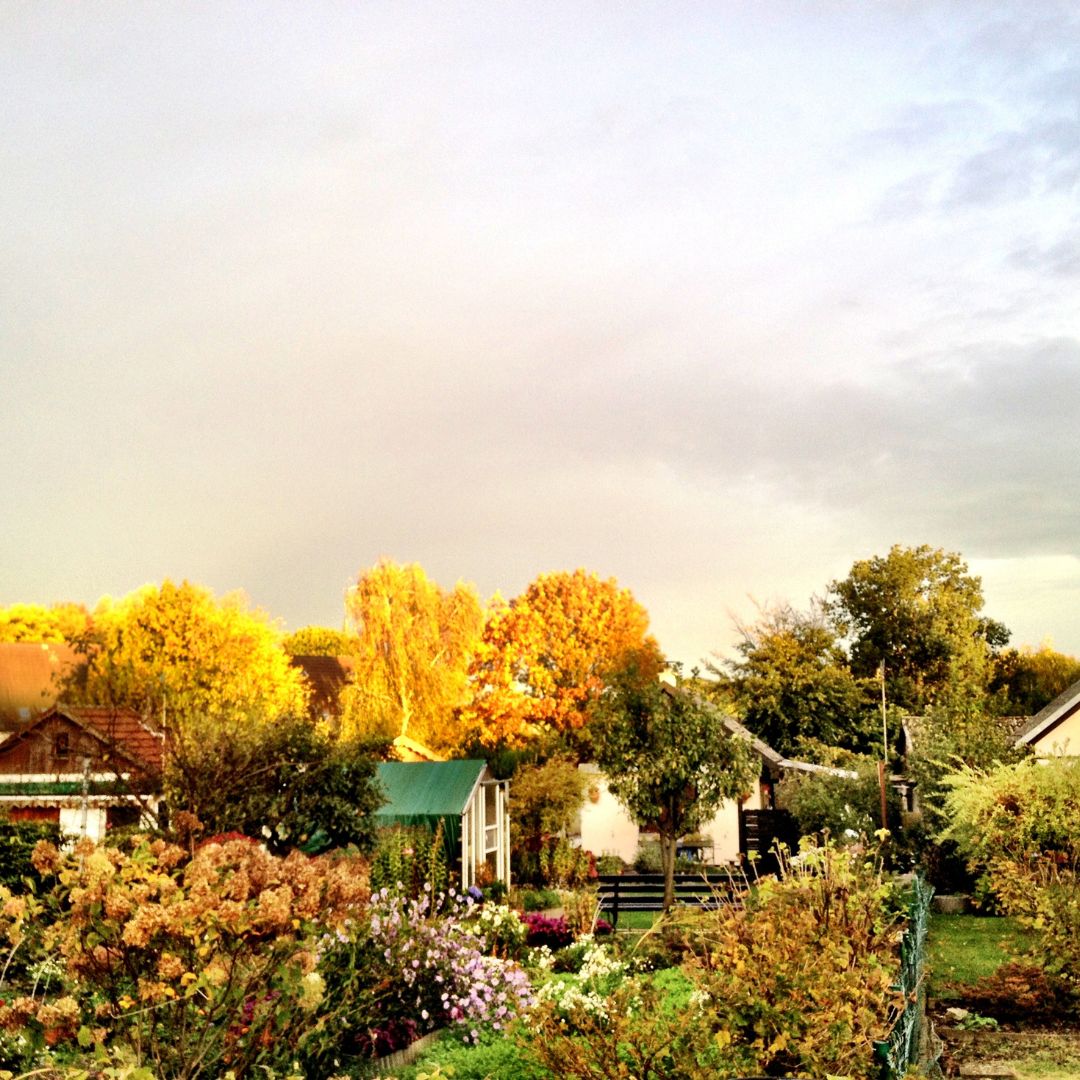 tonysaarealtor's tweet image. 🏡🍁 Fall = Home Checkup Time! 🍂🏡 Don't underestimate the power of falling leaves! They can point out gutter and drainage concerns. Cooler weather? Perfect for detecting heating system issues. Keep your home cozy and efficient this autumn. #HomeMaintenance #FallCheckUp