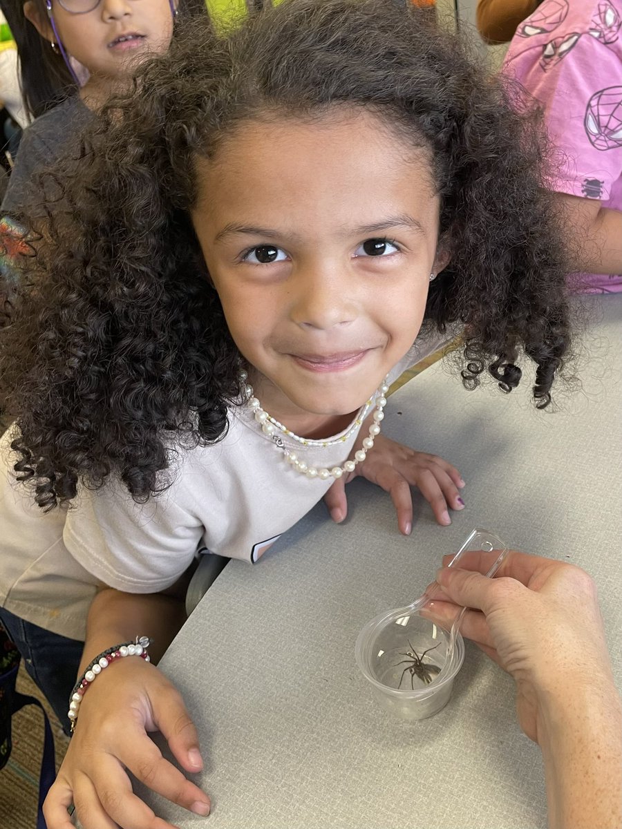 SH1stGrade's tweet photo. Our scientists using their observation skills to investigate spiders! @SlateHillStars @wcsdistrict #itsworthit https://t.co/a1BBgRpUZa