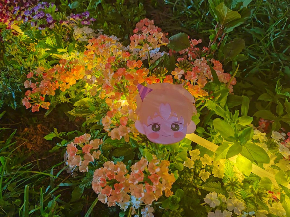 spring_raincain's tweet photo. Happy birthday to my beautiful sunshine 🥳💛. Thank you @studiozzu for creating such a lovely character, I love him so much that I just pray for his happiness every day 🥺! 
#PrinceCainDay👑
#CAIN_IS_OUR_SUNSHINE
 #HBDCain2023
 #태어나줘서_고마워요
#주인의사정 https://t.co/TiYowYTSQM