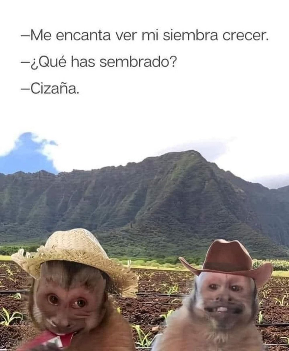 Jose_cugno's tweet photo. Justito para vos.. https://t.co/MbtPS03g7t