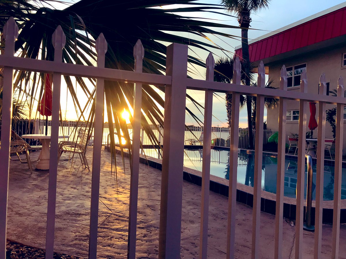 EileenPCarry's tweet photo. #MondayVibes
#GratefulHeart
#miniRoses πΉ
π² #FL #Sundown https://t.co/NGiM1nAyhT