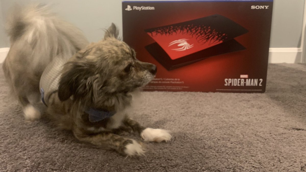 JakeRandall's tweet photo. Spider-Man 2 PS5 Cover giveaway rules will be announced here in 1 week! I will not tweet before then so turn notifications on! (Giving away 2 sets!)

Also doing a 12 hour live stream on Saturday 10/21 for a full playthrough of The Quarry where the chat gets to make every choice ! https://t.co/Zkp7CTLwGB