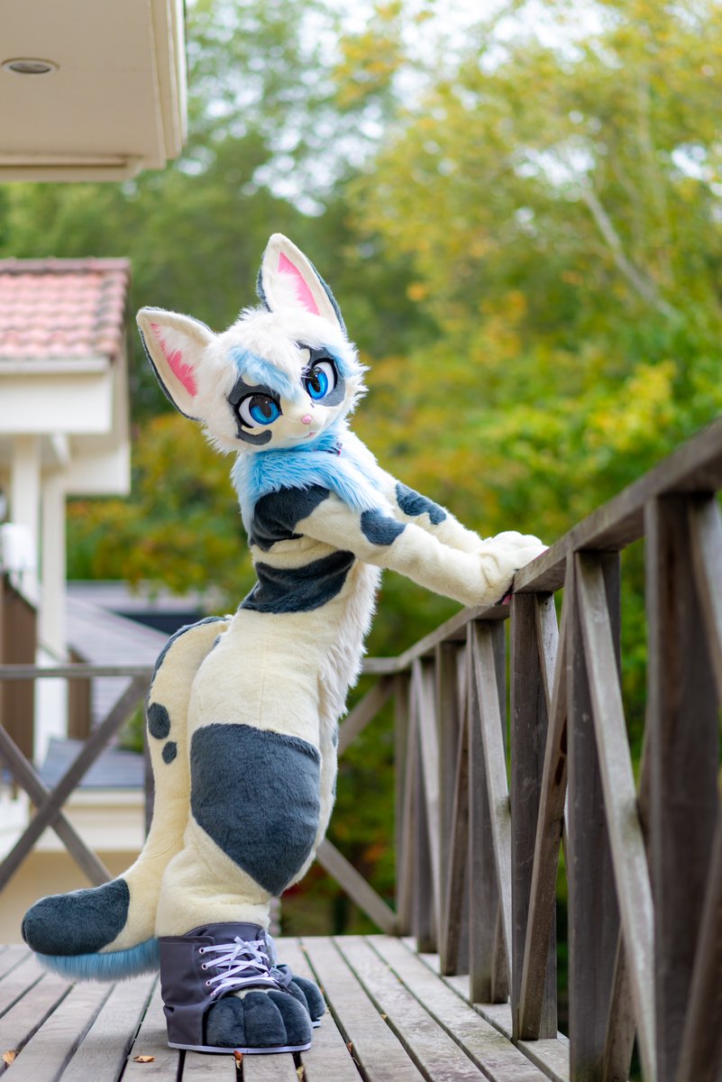 愛犬💎🐾 tweet media