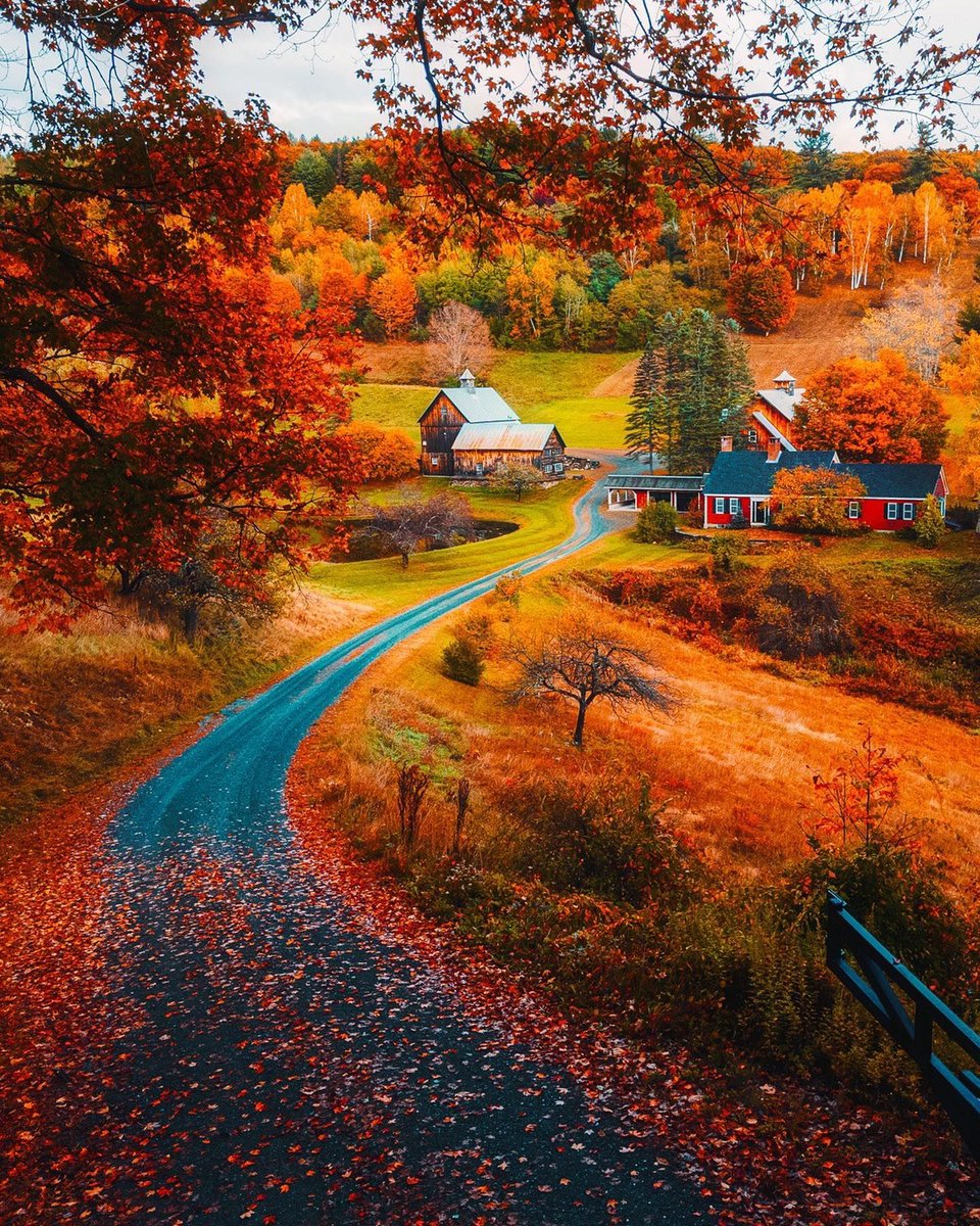 vacation_cd_app's tweet photo. What's your favorite fall travel destination? 🍁
📍 New England, USA https://t.co/Qx9T5kvIlC