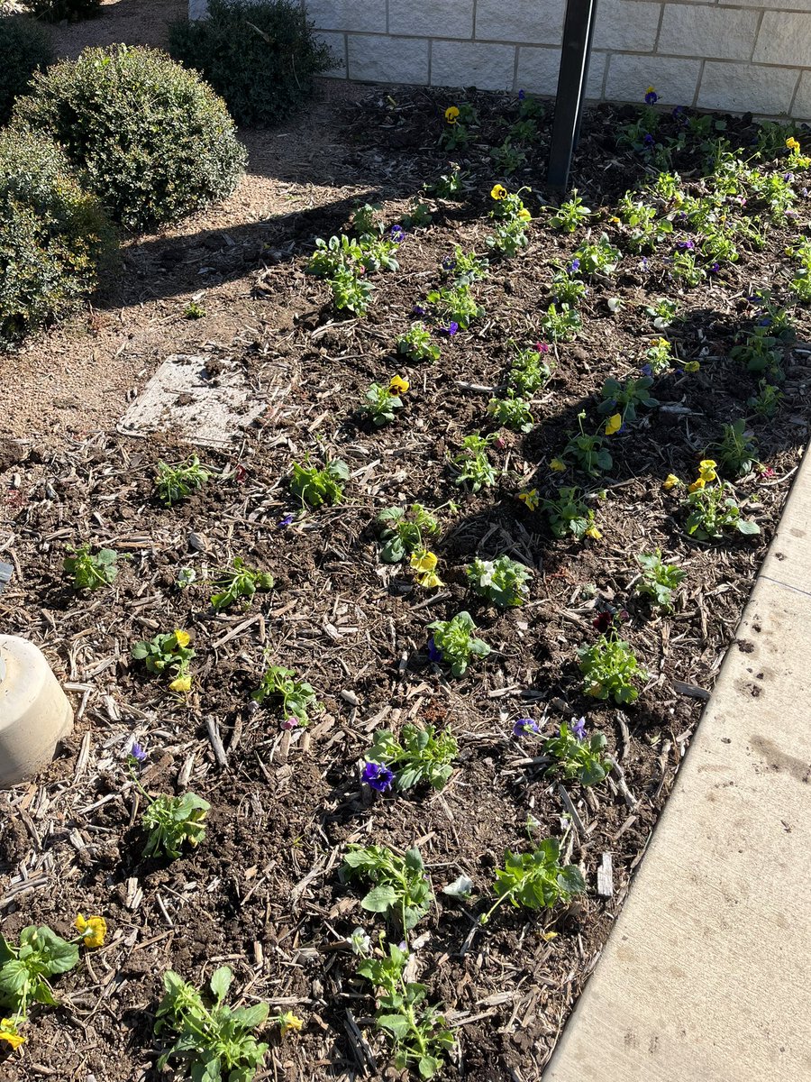 Eric Harshman - CGM, CSFM tweet media