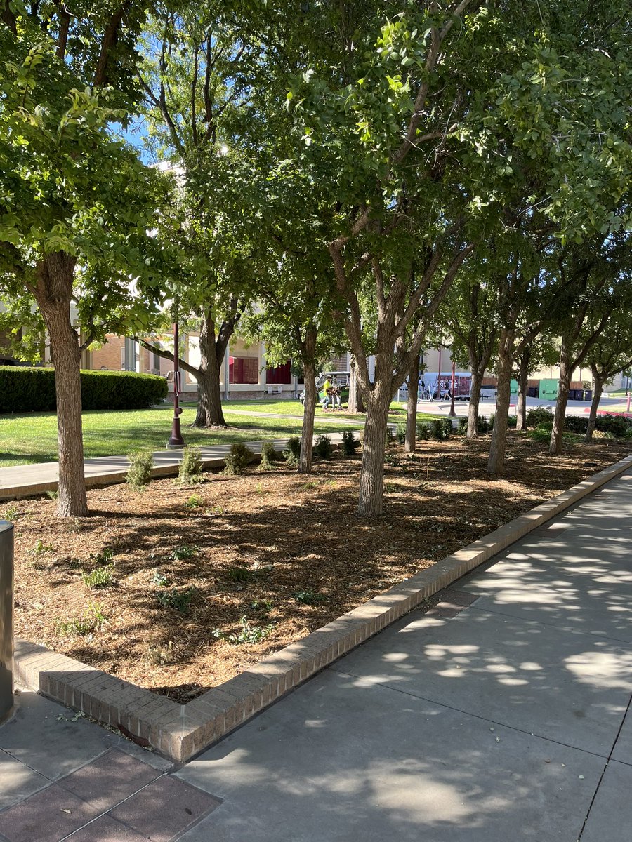 Eric Harshman - CGM, CSFM (@harshman20) on Twitter photo Fresh flowers & mulch in preparation for this weekend’s homecoming! <a href="/wtamu/">West Texas A&M University</a> <a href="/SSCServices/">SSC Services For Education</a> Fresh flowers & mulch in preparation for this weekend’s homecoming! <a href="/wtamu/">West Texas A&M University</a> <a href="/SSCServices/">SSC Services For Education</a>
