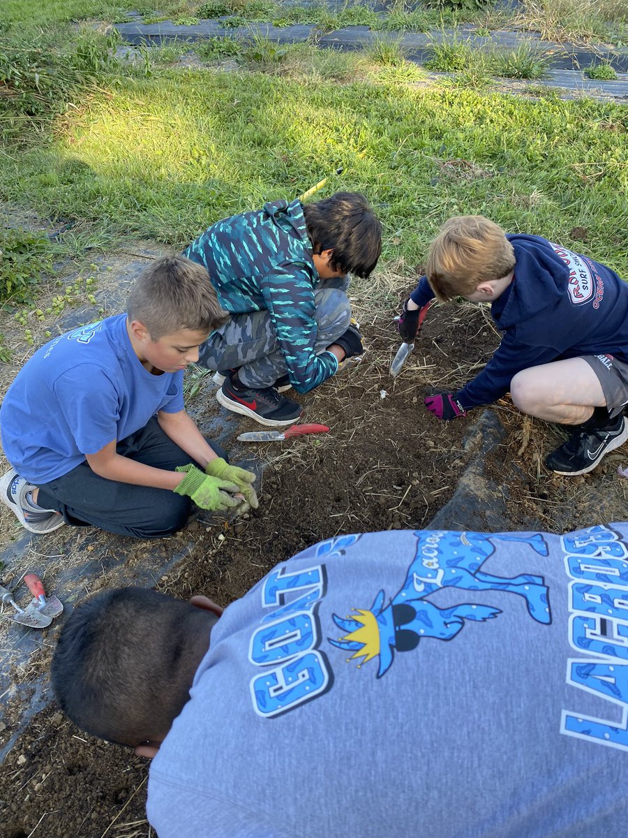 Mrs. Jennifer Scott (@jscott2676) on Twitter photo First OJRMS Leo event of the year! We enjoyed harvesting peppers and planting garlic at Althouse Arboretum. What a beautiful fall day!! #proudadvisor <a href="/lionsclubs/">Lions International</a> <a href="/OJRSD/">Owen J. Roberts School District</a> <a href="/OwenJRobertsMS/">OJRMSPrincipal</a> First OJRMS Leo event of the year! We enjoyed harvesting peppers and planting garlic at Althouse Arboretum. What a beautiful fall day!! #proudadvisor <a href="/lionsclubs/">Lions International</a> <a href="/OJRSD/">Owen J. Roberts School District</a> <a href="/OwenJRobertsMS/">OJRMSPrincipal</a>