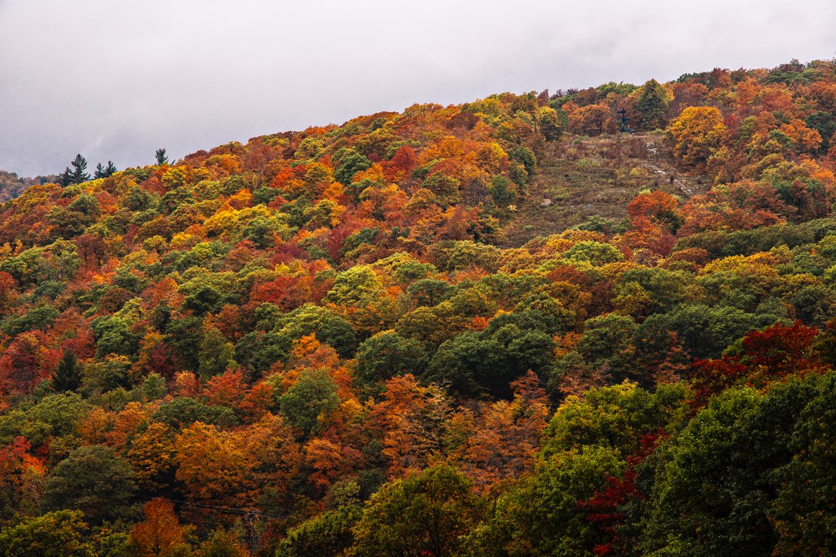 #autumn #myottawa #gatineaupark
#ThePhotoHour <a href="/StormHour/">#StormHour</a> #StormHour 
#NaturePhotography #nature #photography 
#fallfoliage #mountains #landscape