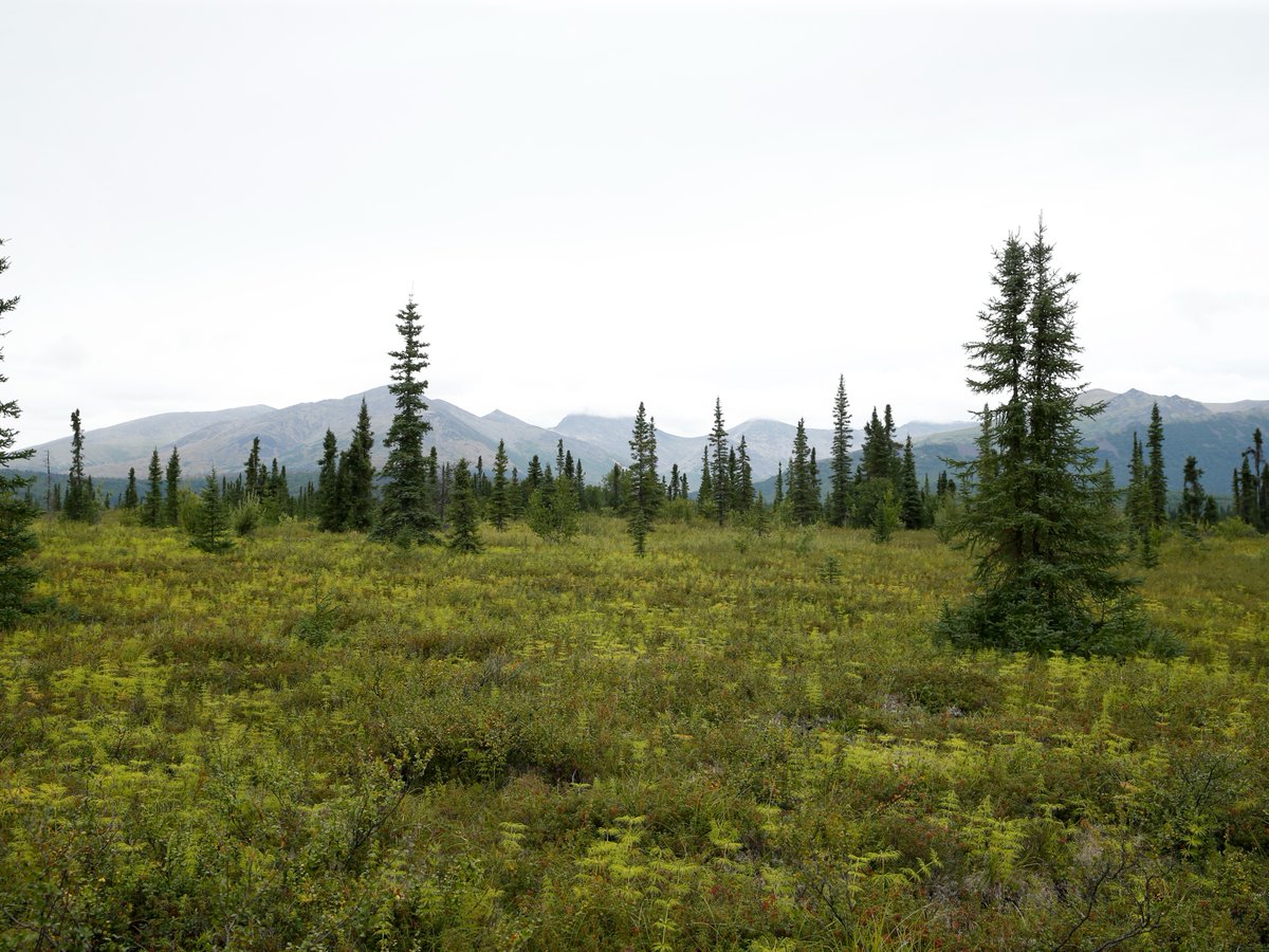 This #IndigenousPeoplesDay, we reflect on the great privilege it is to be invited guests on Yup’ik, Cup’ik and Athabascan lands. Quyana, Chin’an!