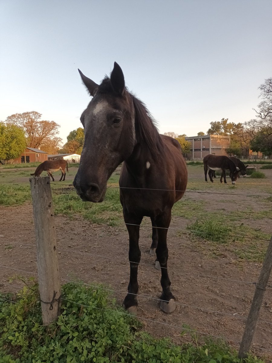 ZeroDCL's tweet image. not again