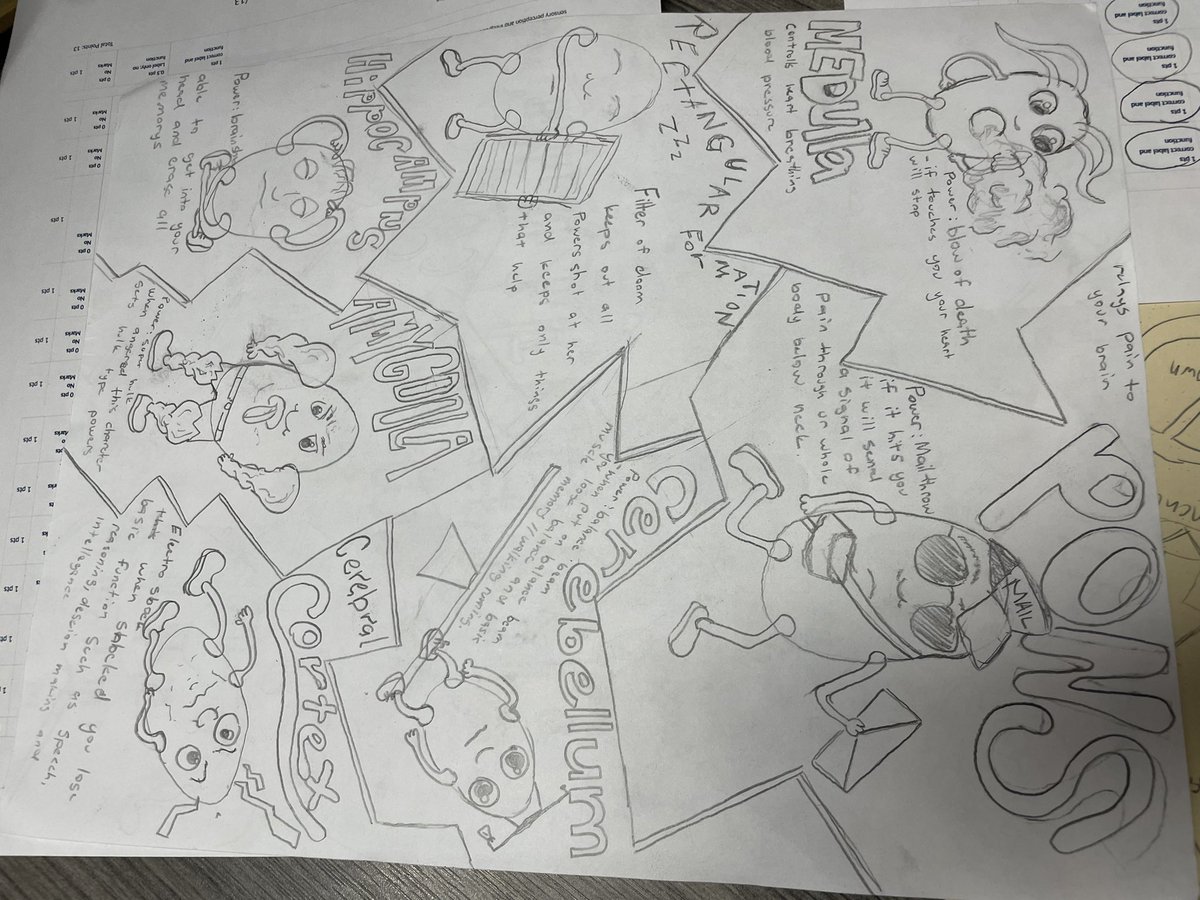 CarlyMaloney8's tweet image. Students are showing off and peer-reviewing their brain projects in AP Psychology today! Four options provide students with choice. I love seeing how engaged and creative they get as they learn about the key structures and functions within this incredible organ! #TeachInDavis