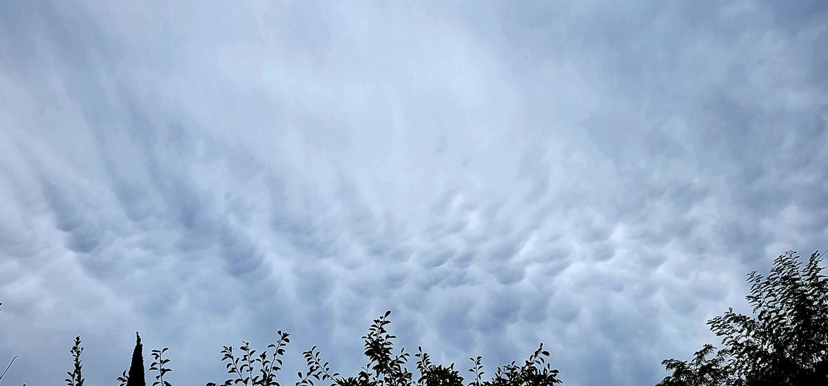 andyjump1118's tweet photo. Stepped outside of the casa to #capture #mammatus #clouds streaming overhead this afternoon. @NWSHanford @CloudAppSoc @ThePhotoHour @cloudymamma @niknakaroni @RobMayeda @StormHour #StormHour #mammatusclouds #cloudspotting #cloudspotter https://t.co/GSlcqIqxcB