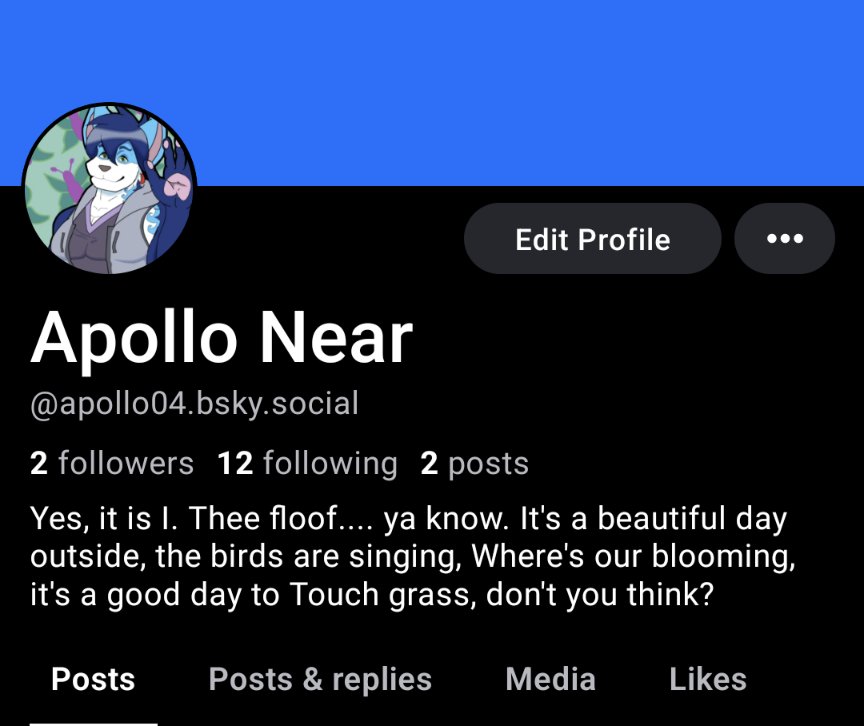 NearApollo's tweet image. Yooo, I'm on blue sky now!!!