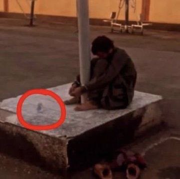 gh0lch0magh's tweet photo. ببخشید من بعد دیدن این عکس نمی‌تونم از بسته شدن آب به روی هیچ ملتی از جمله غزه ناراحت بشم.
#خدانور_لجه‌ای
#IraniansStandWithIsrael https://t.co/gxIsUZLHgJ