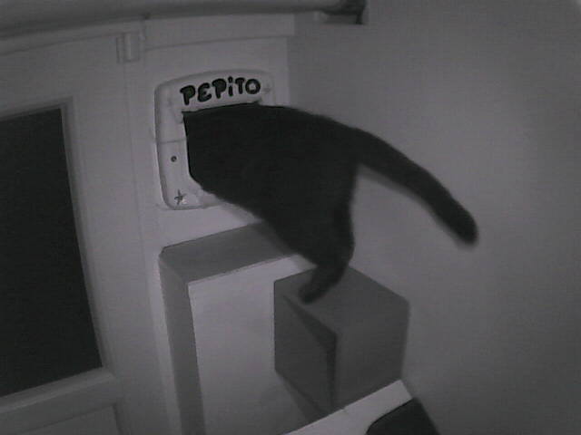 Pépito is out (05:05:02)