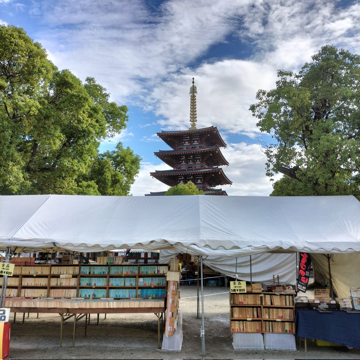 komachisyoten's tweet photo. 四天王寺秋の大古本祭り
5日目です

コレ古本屋のあるあるですよね❓
即売会場にいると、普段より時間が経過するのが何だかとても長い気がします
もう２週間くらいココにいる気分で錯覚します🙄

そんな店員も時間も何もかもが、ゆっ〜くりしている不思議な空間、四天王寺で皆様をお待ちしています〜⌛ https://t.co/7k2lxw7bUx