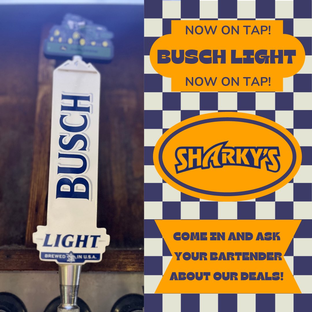 Sharkys (@sharkysfunhouse) on Twitter photo 