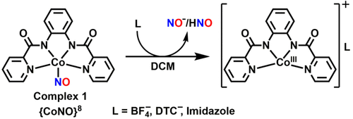 bhkenlo's tweet photo. Sixth Ligand Induced HNO/NO– Release by a Five-Coordinated Cobalt(II) Nitrosyl Complex Having a {CoNO}8 Configuration | Inorganic Chemistry https://t.co/IALQ6zDRrI Mondal and co-workers @InorgChem #cobalt #nitroxyl #CoNO_8 #6thLigand #HNO #N2O #GCMS #PPh3 https://t.co/BiLScFvgwM