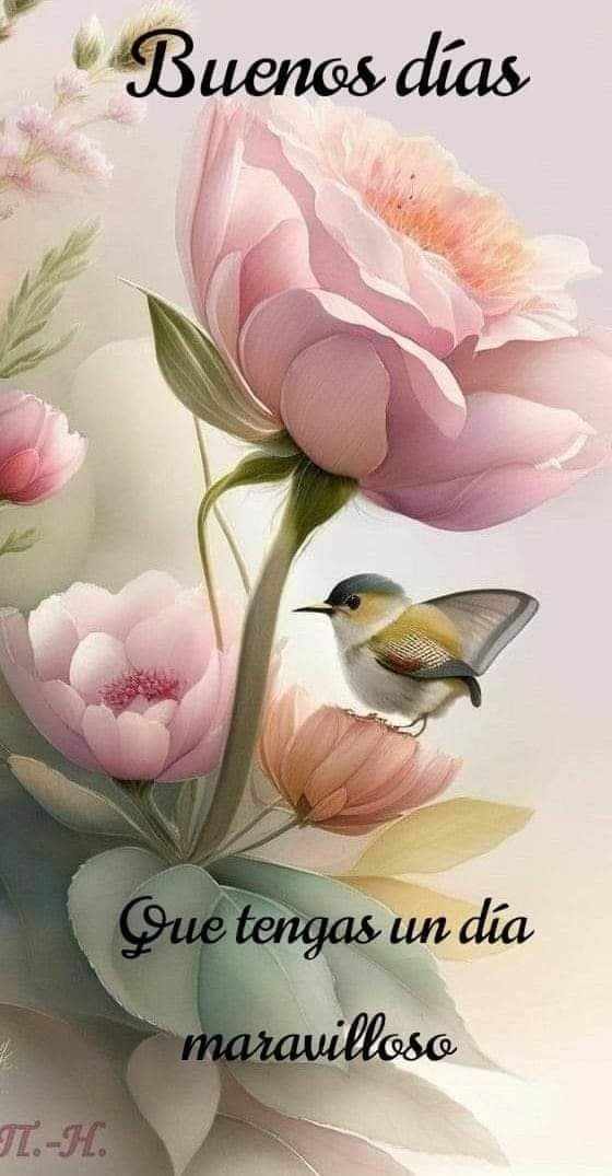CachitoPpg's tweet photo. @MarianaMarsAmor Que tengas una semana extraordinaria llena de bendiciones 🙏 y hermosas alegrías!! Saludos 🙋🏻‍♀️ Marianita!! https://t.co/jygj2c9Irw