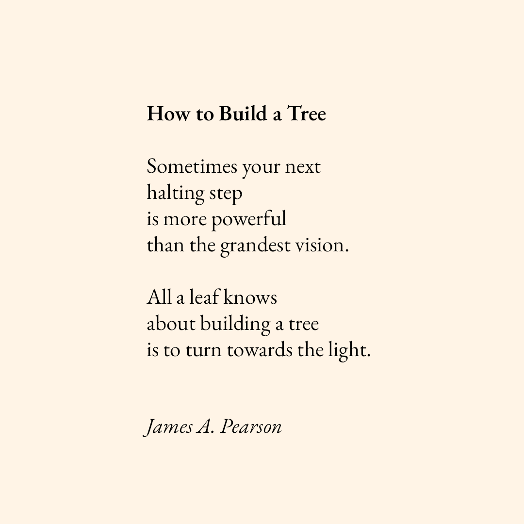 jamesapearson's tweet photo. The story we're told is that we're supposed to set a big, ambitious goal and then work relentlessly towards it.

But most of life doesn't look like that at all.

It's about taking the next right step, over and over, and shaping your life accordingly. https://t.co/Bv36nF6w1m