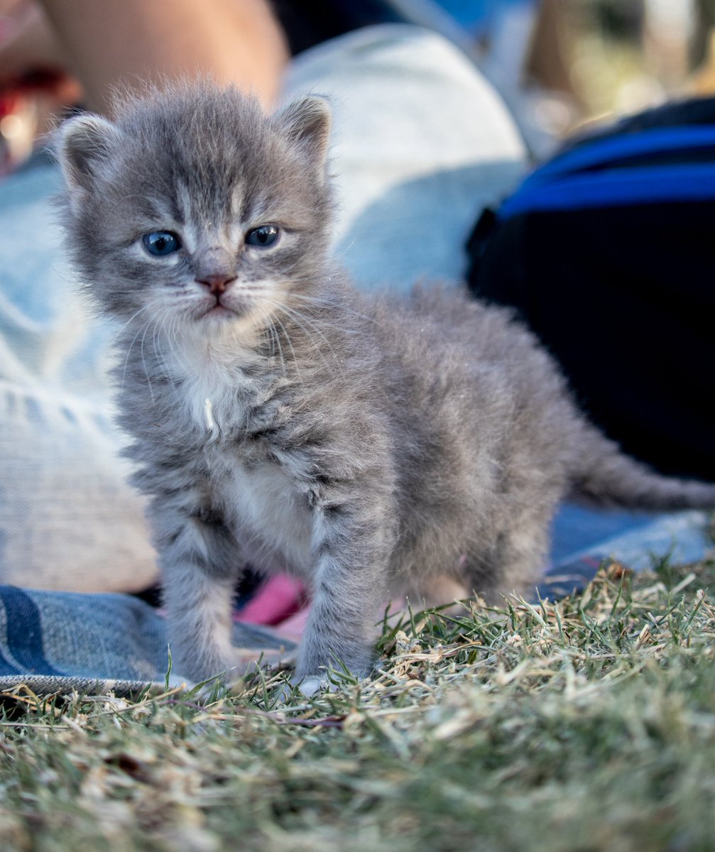 _carbonelli's tweet image. Si es nene
ponele enzo ❤️