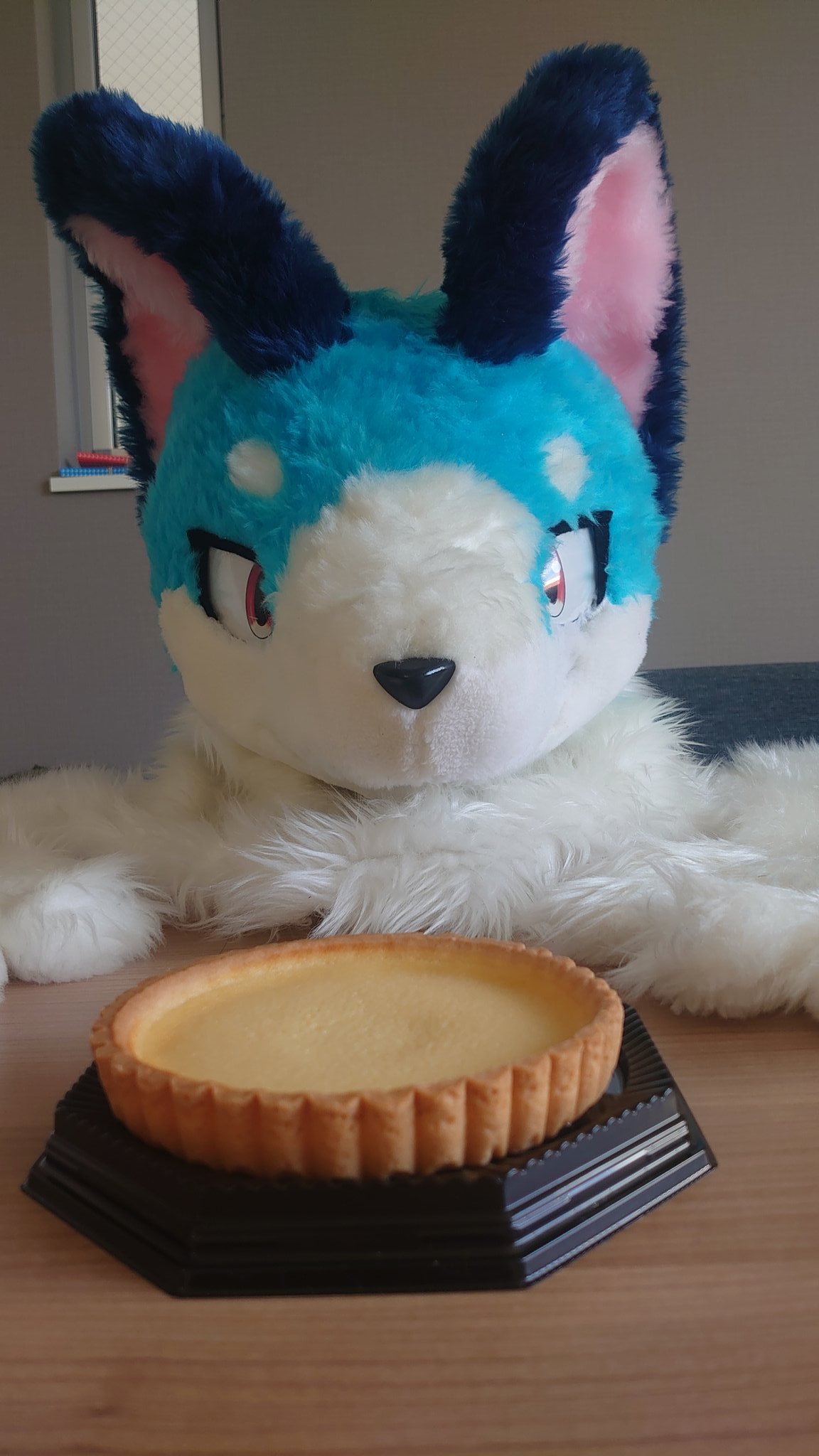 青竜/マール※喪中 (主な経由地…※ケモコン→ケモすて→はつじゅー