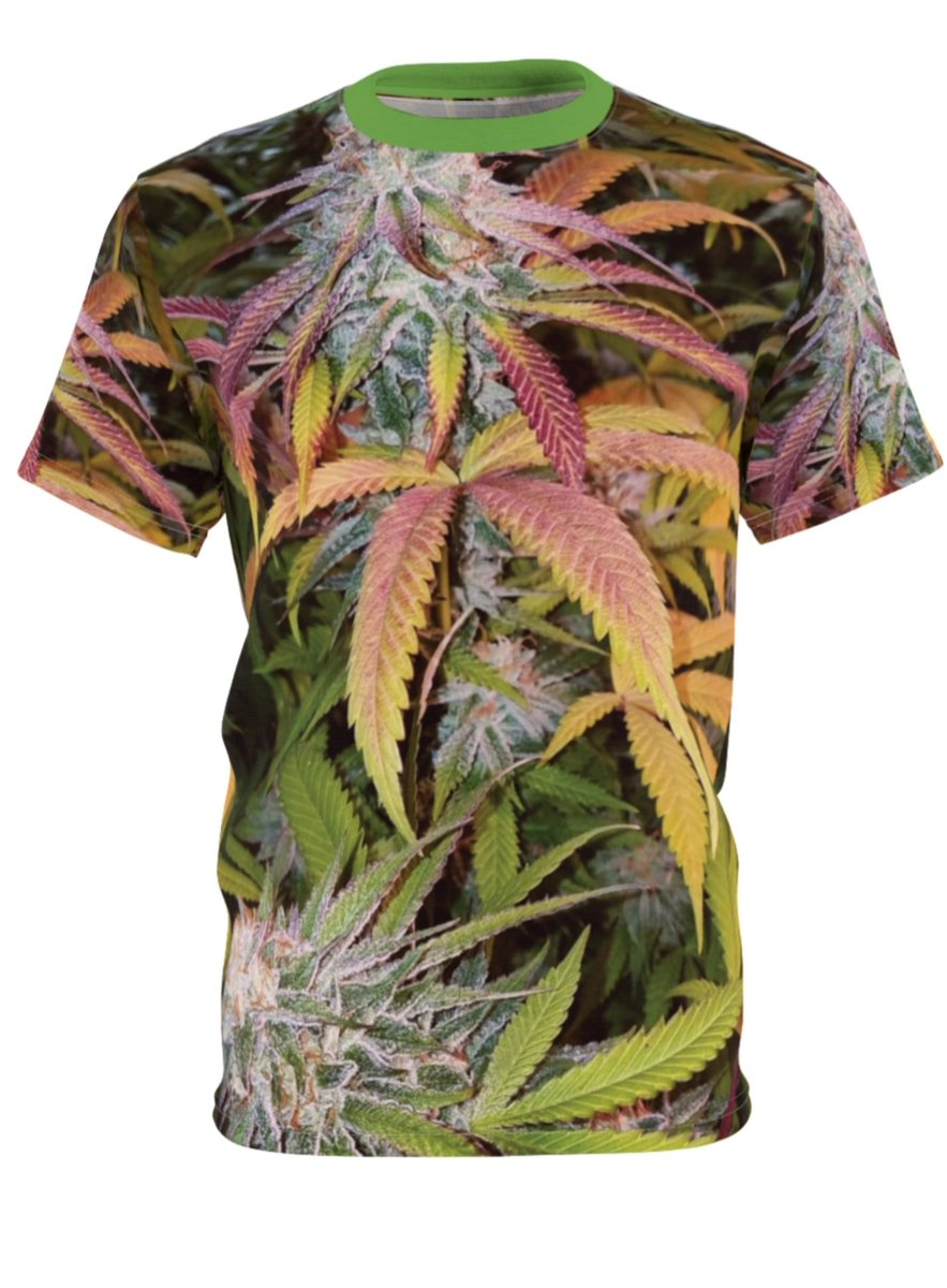 Hyroot (@hyroot1) on Twitter photo 