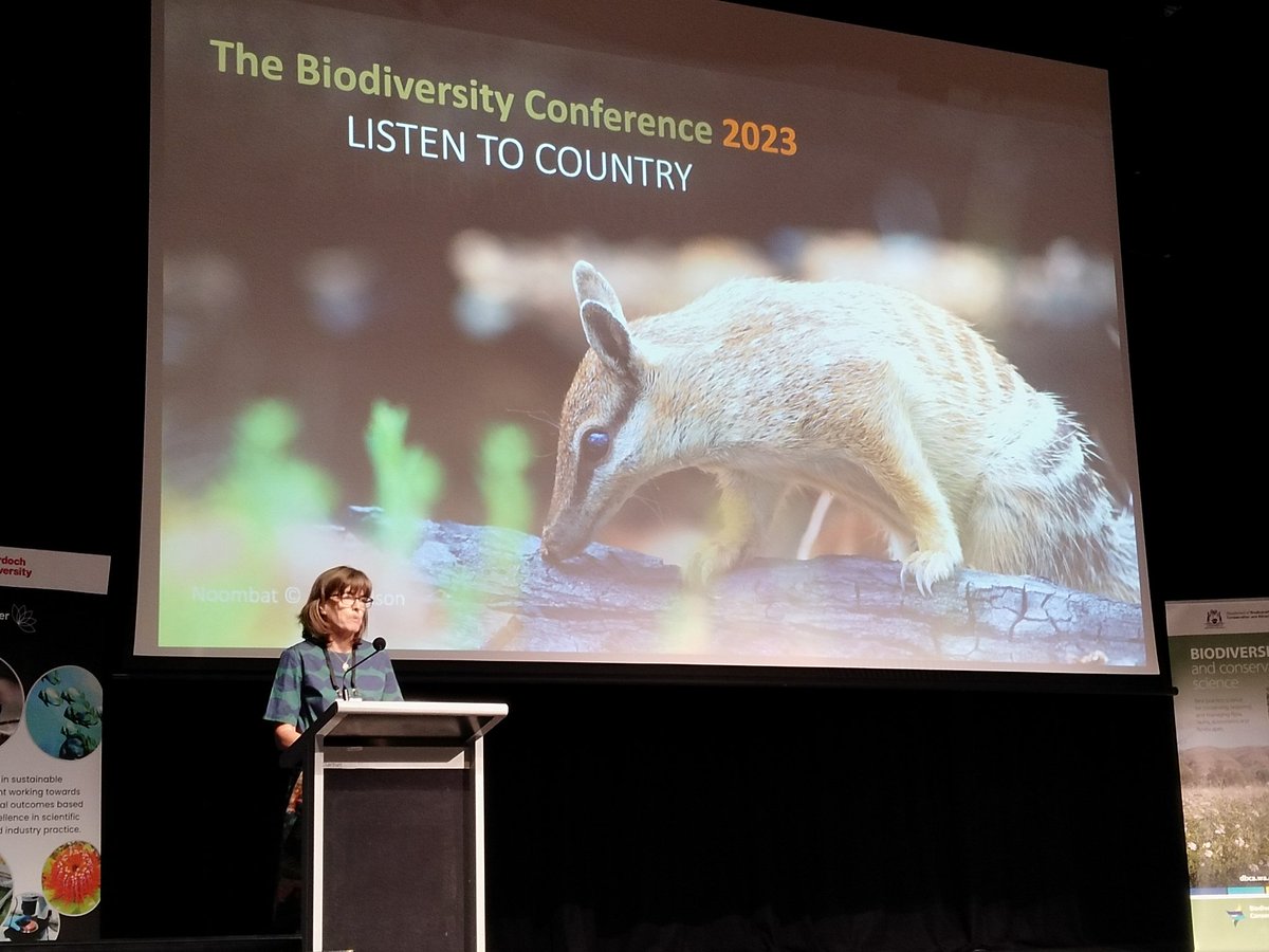 Mick Davis tweet media