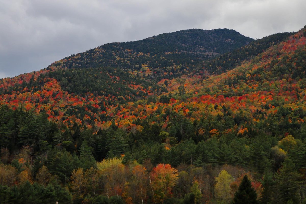 Smith_Conall's tweet photo. Past peak for a lot of spots in the High Peaks, including snow on Mt. Marcy. Some bright colors still hanging around. 🍁🏔️ https://t.co/fyjGAtmIol