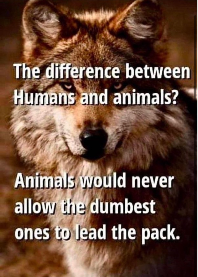 tim russ tweet media