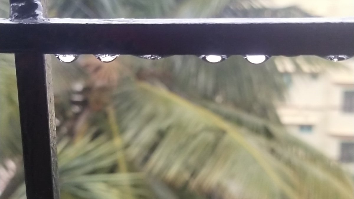 DivzyRai's tweet image. He sent me a necklace of Pearl!!

#goodmorning 
#OneLiner