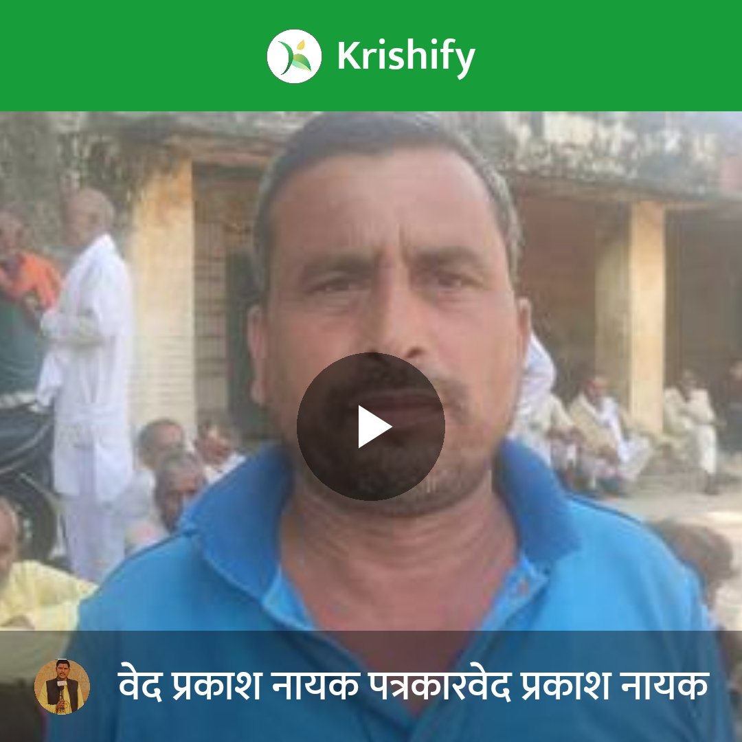 kxA9fE32PlN0Pld's tweet image. krishify.in/igWxrukLKDb
#Krishify