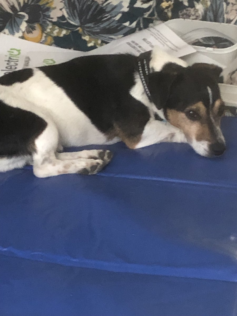 Helmseye tweet media