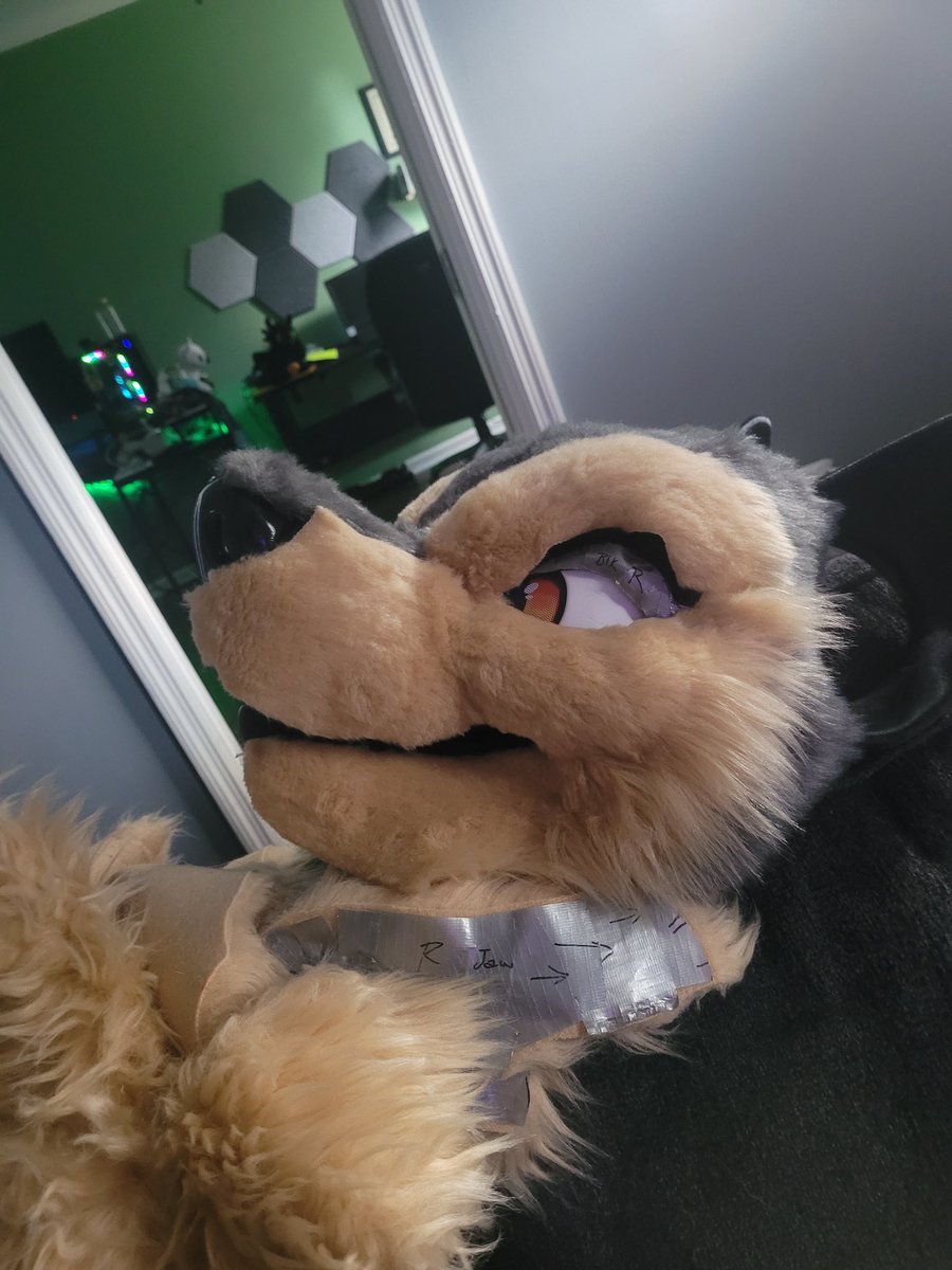 Liquid_Wolves's tweet photo. Remaking my girl as grey instead of that grey brown cx https://t.co/Z4srhnKFoU