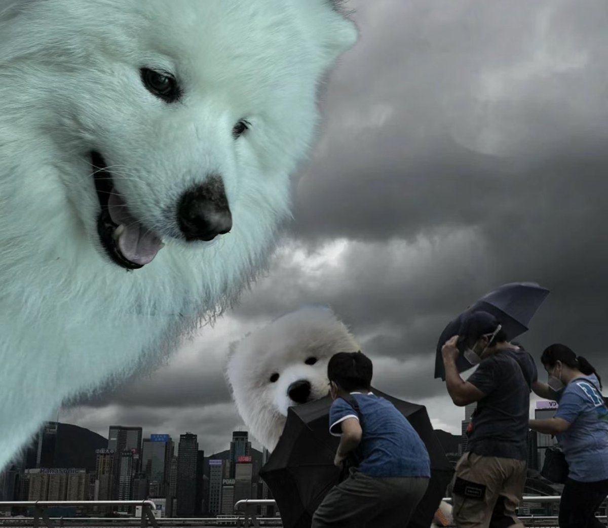 dogonboo's tweet image. หมานาวต่างดุ้ดมาเยือนโลกแล้ว