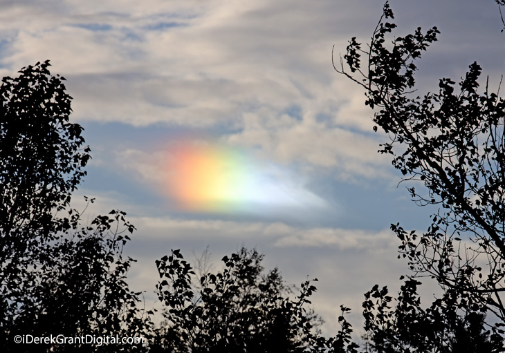 NaturePaparazzi's tweet photo. Spectacular circumhorizontal arc visible over Woodstock, New Brunswick this evening - as outer band Storm Clouds from Tropical Storm Philippe continue to circulate #ShareYourWeather #ThePhotoHour #StormHour #Firebow @weathernetwork @KalinMitchelCTV @ryansnoddon https://t.co/81ThUSxxZ1