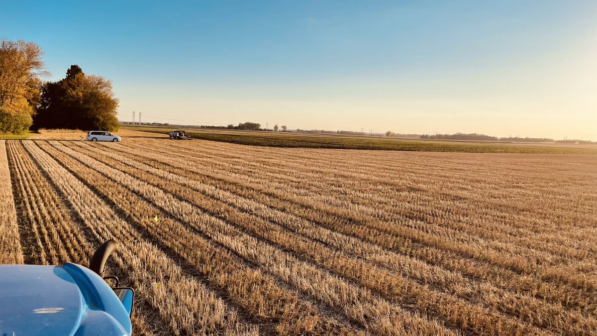 WheatInnovation's tweet photo. Rain, weather, and drill computer put us behind last week so we pushed forward today and all 2,664 early observation plots are in good moisture #Thank you TeamWheat #NoTillWorks #SpringWheatResidue https://t.co/8yo49mwCbH