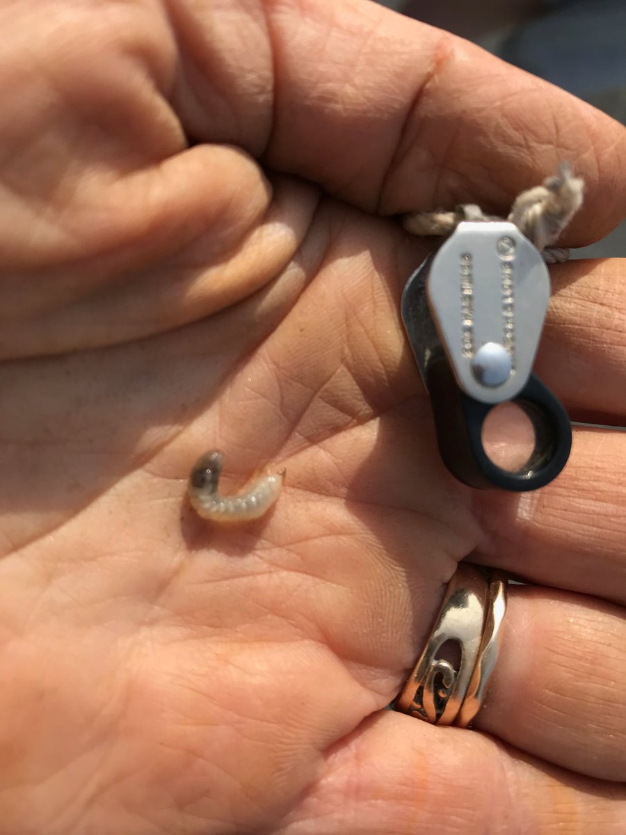 Jennifer Grant tweet media