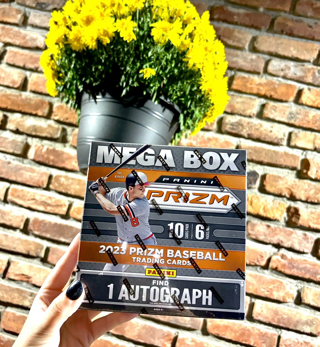 lexiimichh's tweet photo. back at it againnnnn w/ another 
G I VE A W A Y 🥳🥳🥳 

i’ve teamed up with @yazsports again to give away one mega box of 2023 prizm baseball 

rules are: 
- be located in the states
- following us both 
- repost 

winner chosen this Thursday 10/12 @ 6pm est. LOVE YALLLLLLLL https://t.co/AqfKIfVHMY