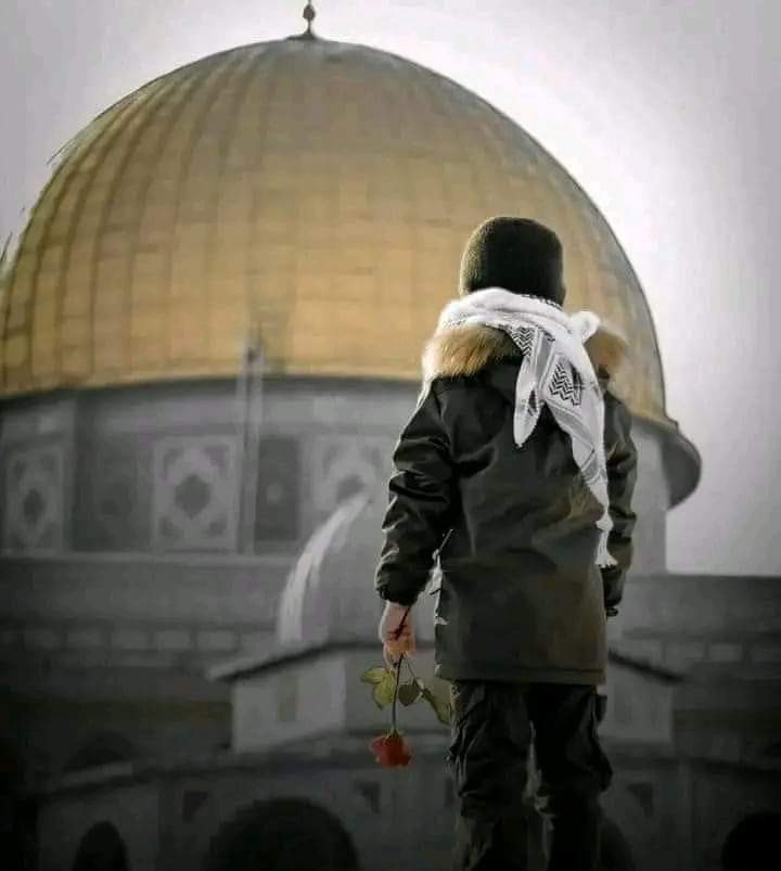 MaazTyagi's tweet photo. یا اللہ فلسطینی مسلمانوں اور مجاھدین کی مدد فرما اور سوٸی ہوٸی امتِ مسلمہ کی غیرتِ ایمانی بیدار فرما آمین https://t.co/qXqgVNV0FK