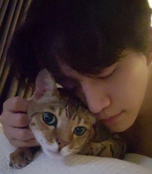 Rafe T. Lee tweet media