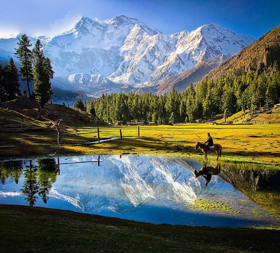 pakistan_click's tweet photo. Family Tours | Sightseeing | Honeymoon Tours | Corporate Tours | Group Tours | Private Tours.
Looking to whisk your loved one away on a 𝐫𝐨𝐦𝐚𝐧𝐭𝐢𝐜 𝐞𝐬𝐜𝐚𝐩𝐚𝐝𝐞? Well, hold onto your hats, because we've got something truly enchanting in store for you!
.
.
. https://t.co/mZYqDpWVIv