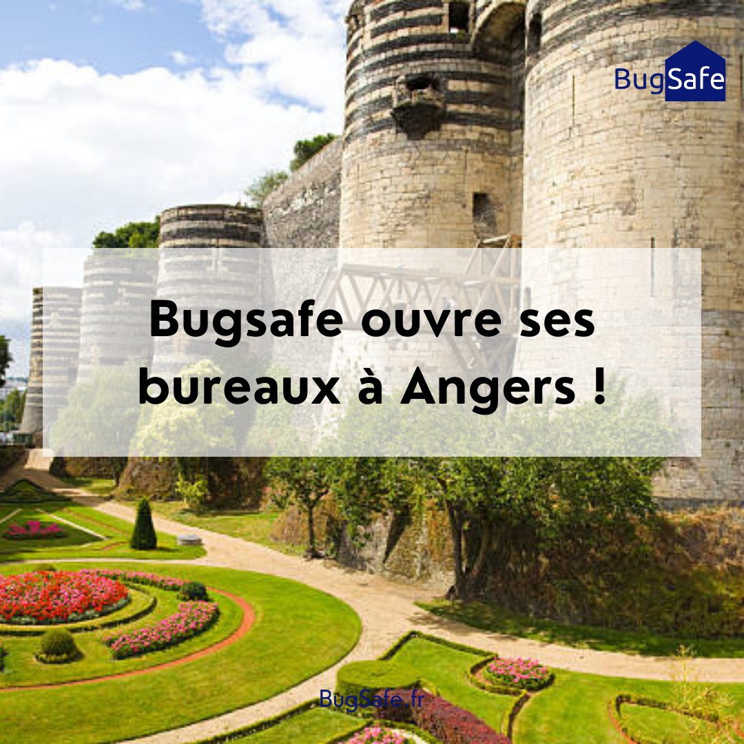 bug_safe's tweet photo. BugSafe passe la seconde en ouvrant des bureaux à Angers et recrute à partir d’octobre 2023 ! 
Si vous êtes de passage dans la cité des Ducs, n’hésitez pas à venir nous voir, nous serons ravis d’échanger avec vous !
#angers #punaisesdelit #bugsafe https://t.co/5vYCldWbBZ