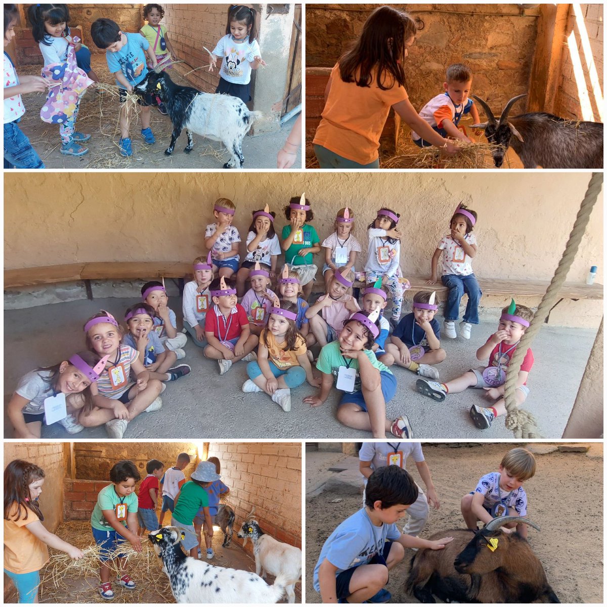 colegiosilbcn's tweet photo. Ahir després d'un bon dinar els nens i nenes d'I4 i I5 van començar les activitats a Can Ribas!!!! 🏕️

#colegiosil #infantilsil #educacióinfantil #educacióninfantil https://t.co/OPapUy1Lr0