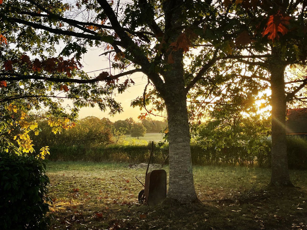 debfitzG's tweet photo. Autumn in La Nocle🇫🇷🍁💕#lanoclemaulaix #france #burgundy #bourgogne #frenchprovincial #frenchprovincialstyle #myfrenchcountrylife #mfchmagazine #myfrenchcountryhome #interiordesign #gardening #jardin #writing #writinglife https://t.co/YbRPj7e7gp