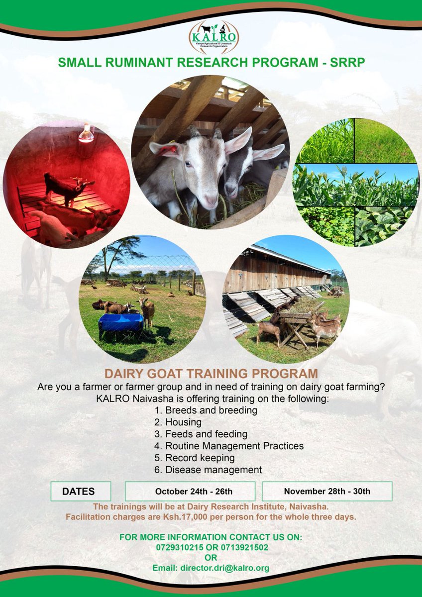 Are you a farmer or farmer group and in need of training on dairy goat? Save the Dates and book your slot. Dates: 24th-26th October and 38th-30th November 2023.
Venue: Dairy Research Institute,Naivasha