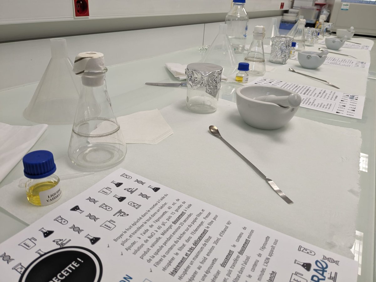 CNRGV - INRAE tweet media