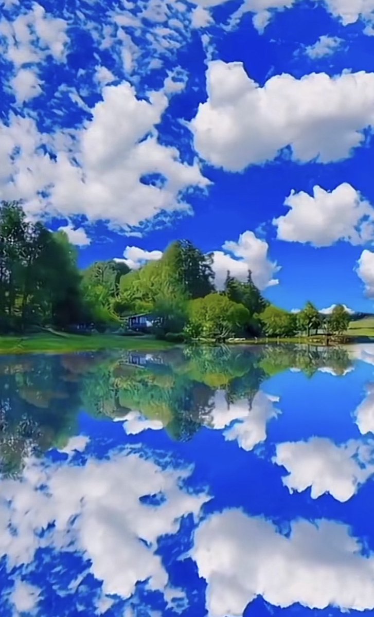 Reflecting Beauty !!! 🌷